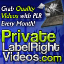 PLR Videos